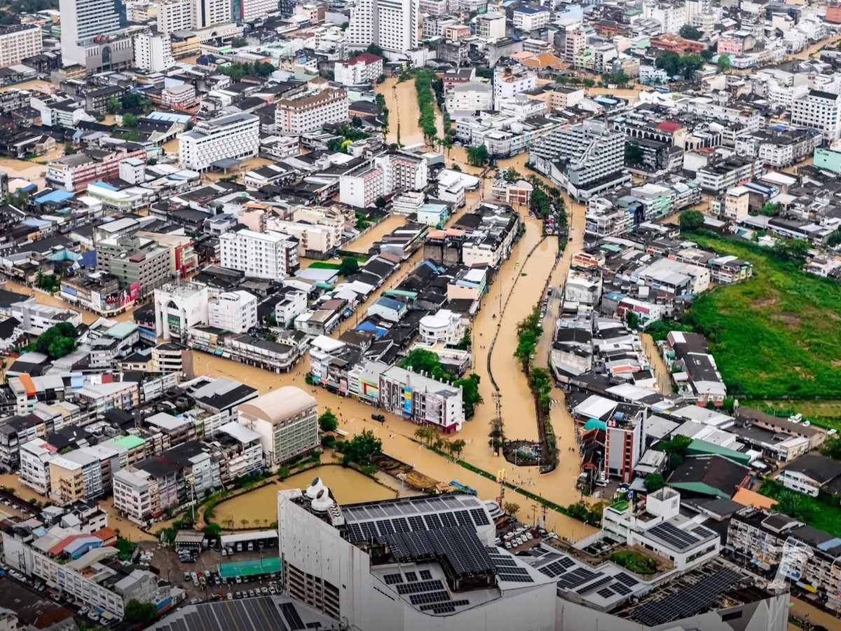 Serenista_66's tweet image. คือตอนเด็กๆ อ่ะ น้ำท่วมใหญ่ปี 43 เราเคยตกอยู่ในสถานการณ์เดียวกัน นอกบ้านน้ำไหลเชี่ยวแรง นอนฟังเสียงน้ำเชี่ยวในความมืดยามดึกที่ตัดไฟหมด และในวันที่ 5 น้ำสูงพีคจนถึงบันไดขั้นสุดท้าย ผู้ใหญ่เตรียมวางแผนเจาะหลังคาขึ้นไปอยู่กับฝนที่ตกหนักแล้วค่ะ แต่ในตอนน้ำขึ้นพีคสุด…