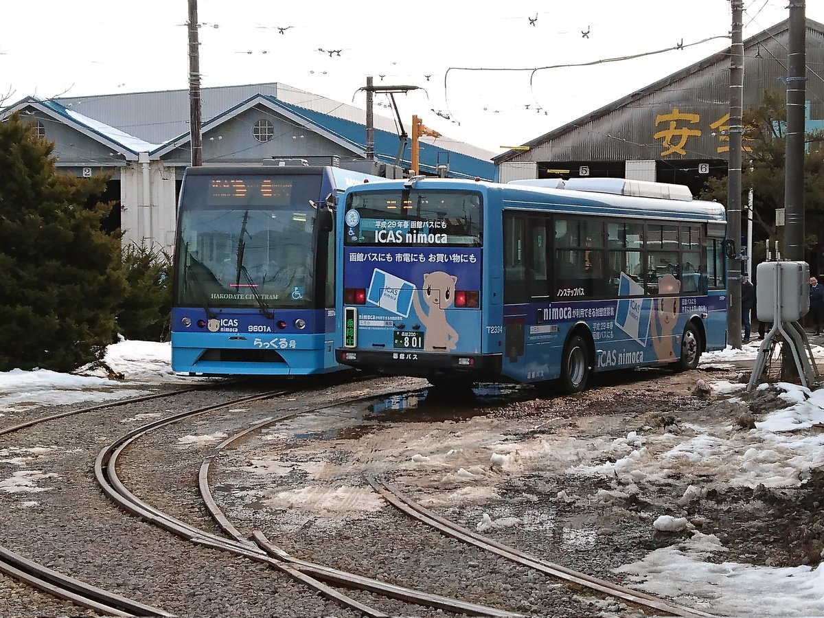 karussellDelphi's tweet image. ICAS nimoca
イカすニモカ
#函館バス
#函館市電