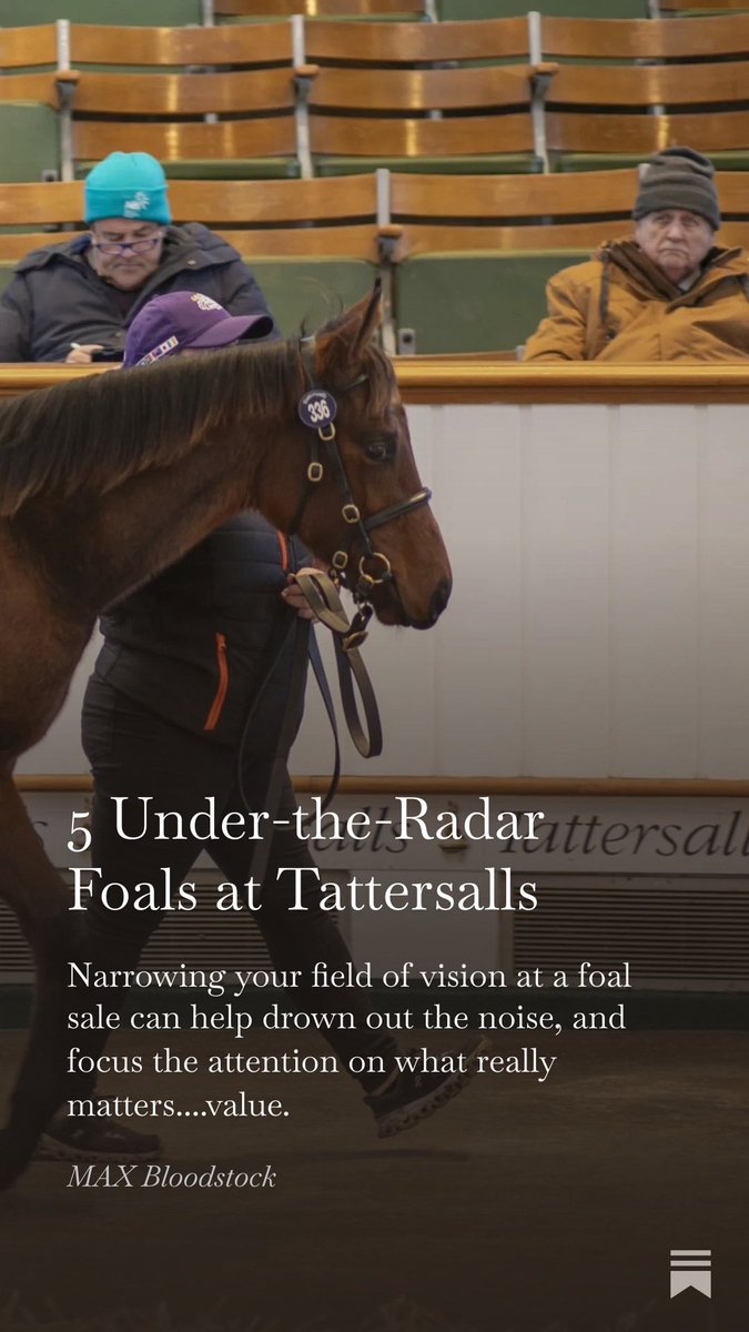 MAXBloodstock's tweet image. 5 Under-the-Radar Foals @Tattersalls1766 this week from @stringstonfarm @jenny_norris &amp;amp; @jamierailton 

Read my thoughts here  open.substack.com/pub/bloodstock…