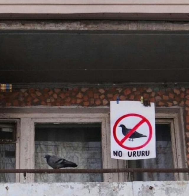 уруру (@ururuarts) on Twitter photo 