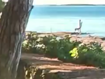 Cynthéo 🐢🌱 tweet media