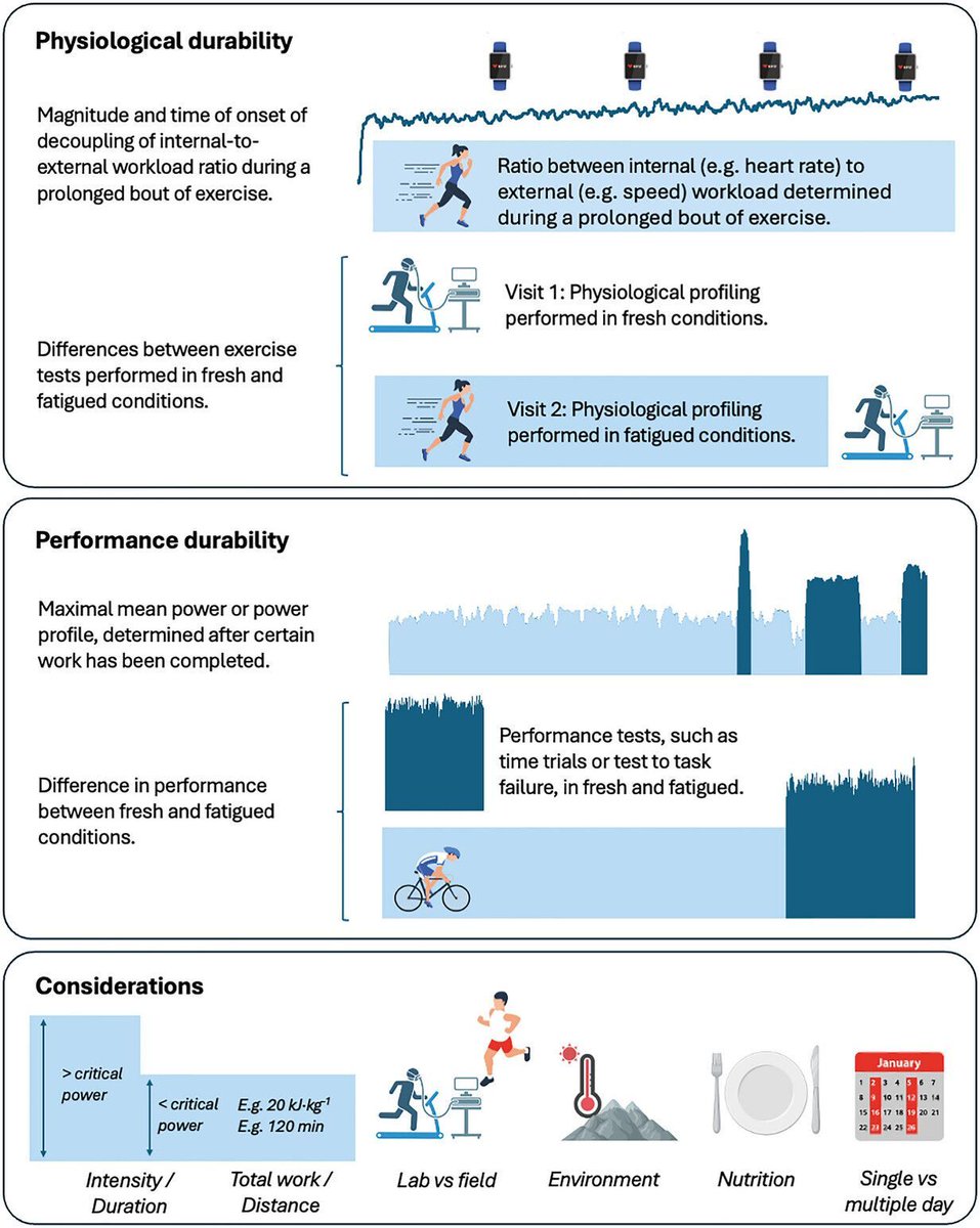 Experimental Physiology tweet media