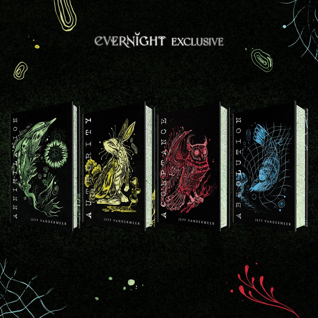 Evernight 🌙 tweet media