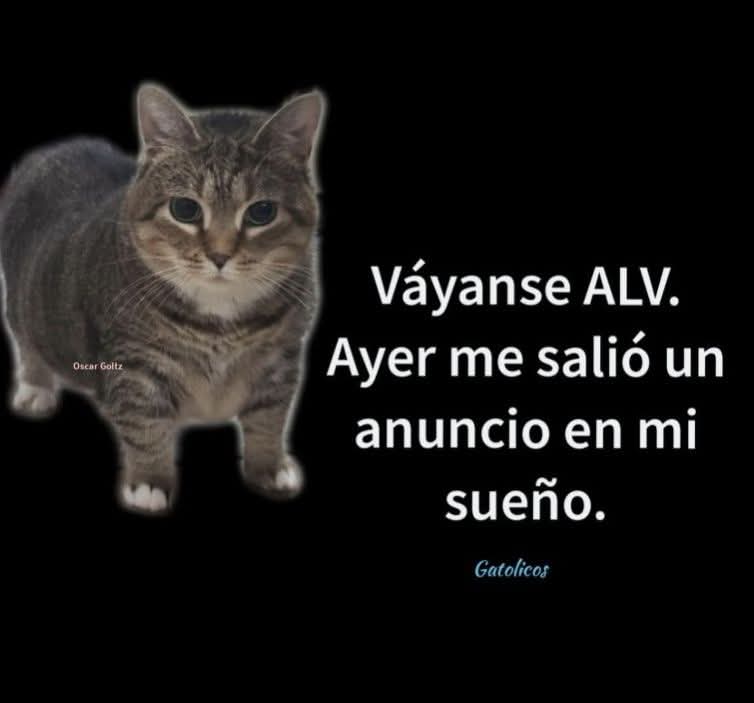 elRubsRamone's tweet image. Muy buenos dias Powerosos 
@ruleiro @eltalcha 
#PoderosoMiCansancio🫩