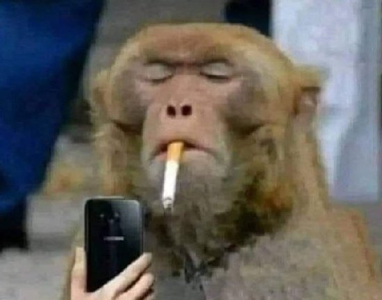 NoOffense011's tweet photo. It's wrong when she gets married but when y'all want latest iPhones from the same age mates its fine, nikhohlakele zinjaaa https://t.co/1k5i0Crr5k