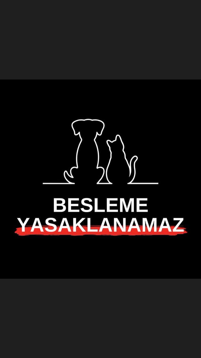 TCaysimozsoy's tweet image. 