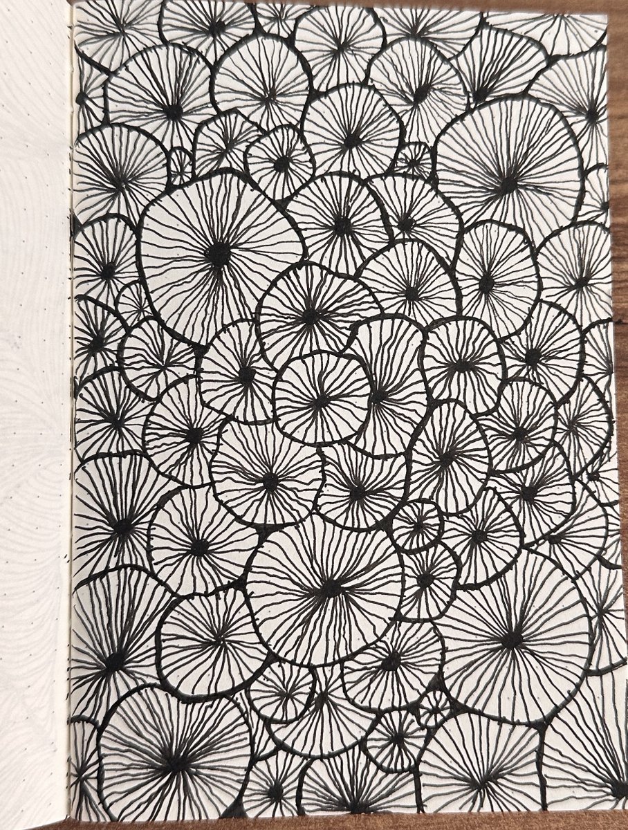 busraggunay's tweet image. Üniversite 1. sınıf gibi hissediyorum ama sarıyor :)