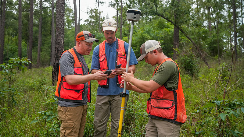 AU College of Forestry, Wildlife and Environment tweet media