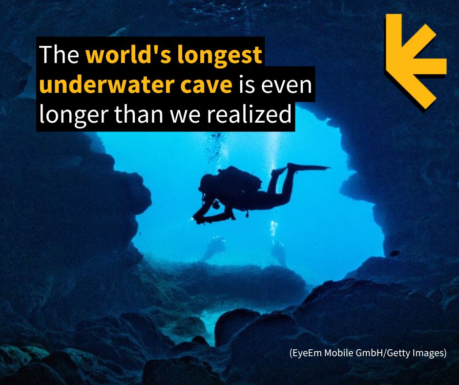 ScienceAlert's tweet image. As of the start of this year, cave divers have mapped 524 kilometers (325.6 miles) of a subterranean water &apos;web&apos; near Tulum, Mexico, called Sistema Ox Bel Ha. @GUEhq
sciencealert.com/the-worlds-lon…