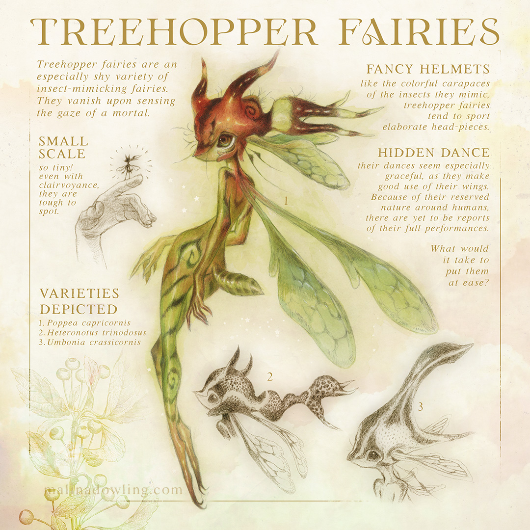 Treehopper Fairies