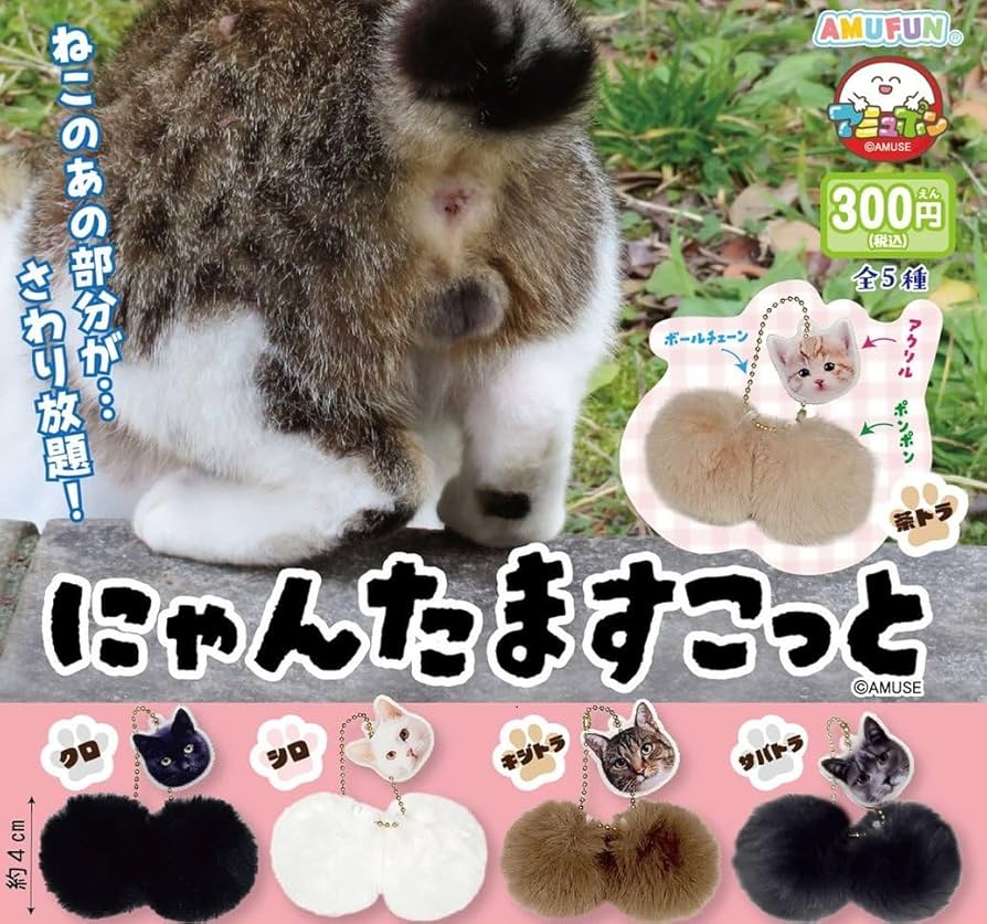 ceramics_'s tweet photo. 猫の金玉ふわふわして気持ちいから
探してみたらこんなのあるんか・・・
ずっと触ってる自信あるんだけど https://t.co/2tzMWIvala