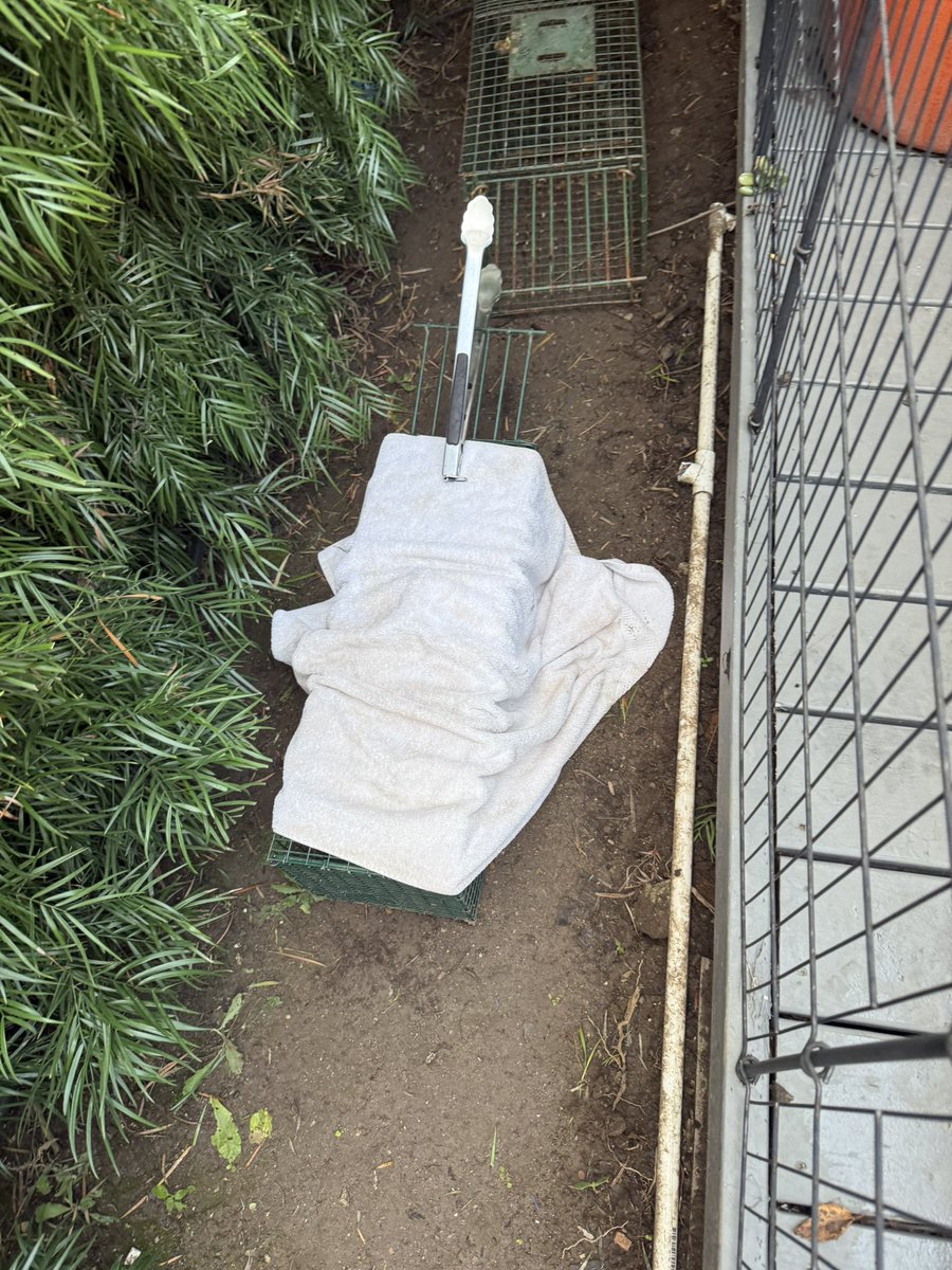 Jason Damata tweet media