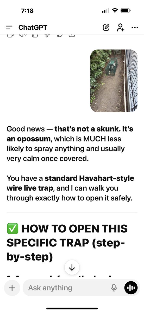 Jason Damata tweet media