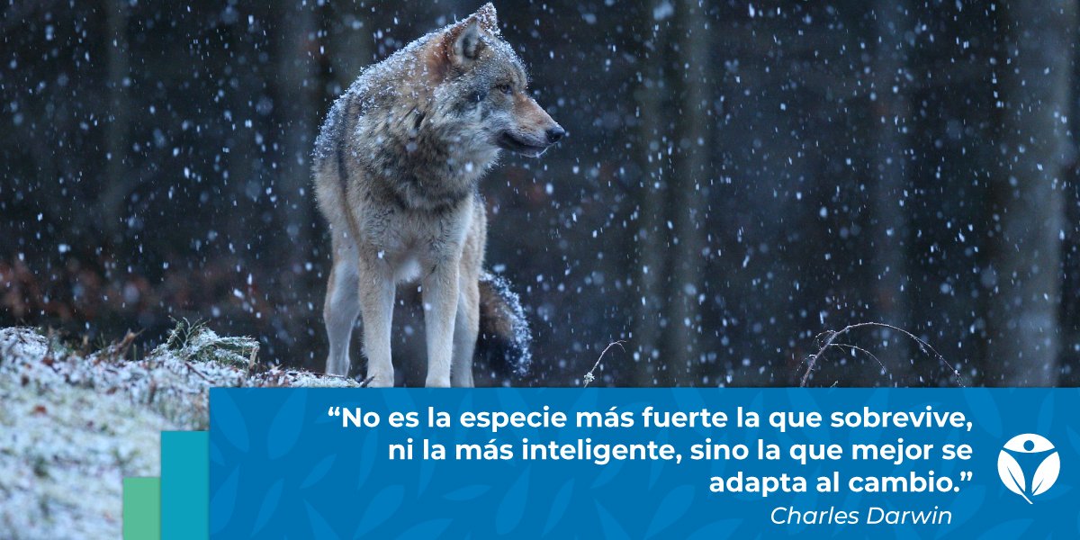 DrEddieArmas's tweet photo. La resiliencia no significa evitar los problemas, sino aprender, transformarse y crecer a partir de ellos. En la vida diaria, ser resiliente implica aceptar los cambios, mantener la calma en la incertidumbre y encontrar nuevas formas de avanzar. ¡Feliz semana para todos! https://t.co/55itvkrvE7
