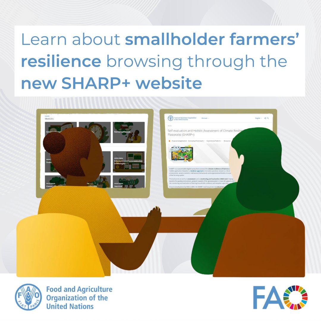 FAOInnovation's tweet image. The new SHARP+ website is live!🚀

Discover the updated platform featuring a dynamic overview of the 32 SHARP+ survey modules and a wide range of resources to learn about #resilience and how to apply SHARP+ in your projects.

👉Explore it here: fao.org/sharp/en

#FAOSHARP