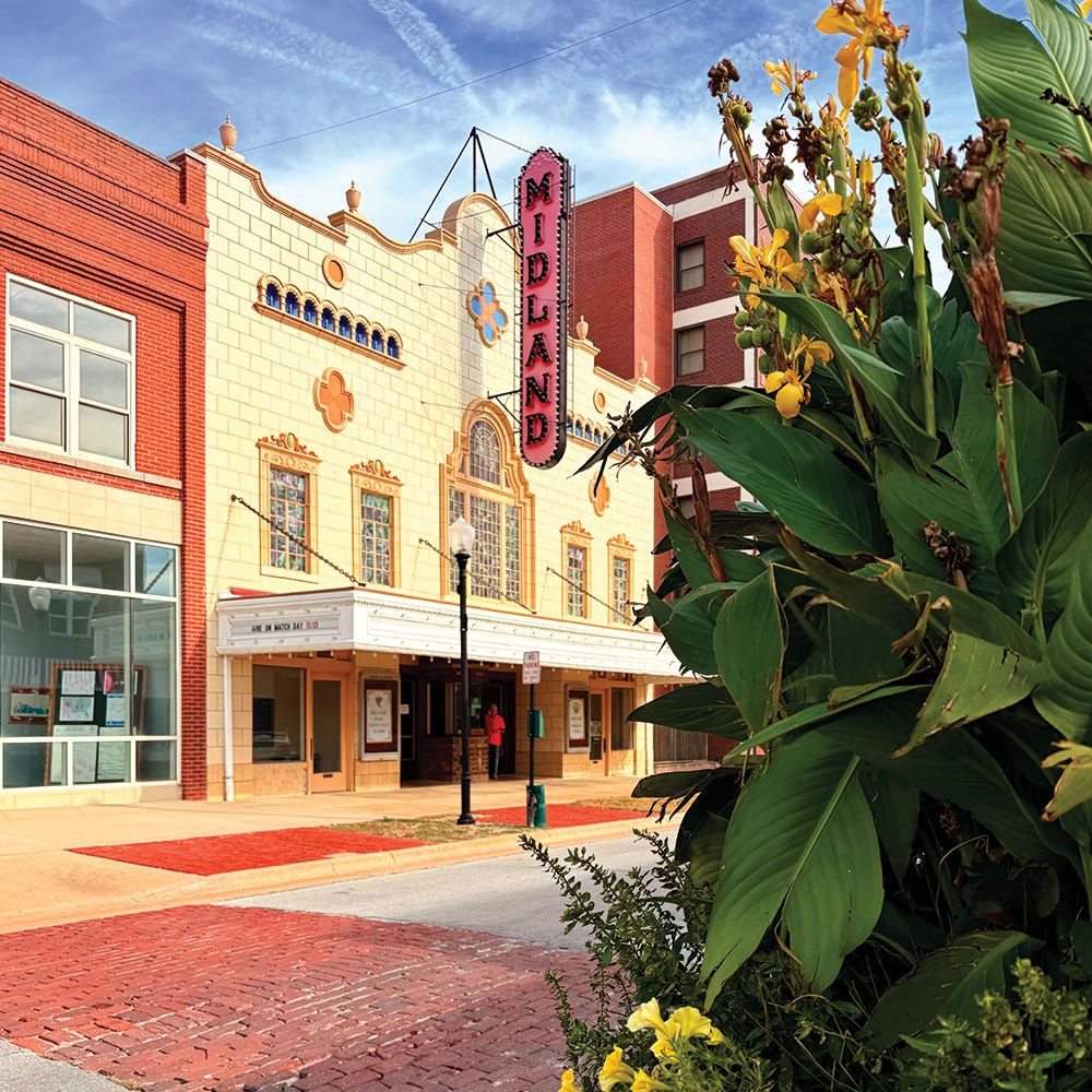 WDM Architects tweet media