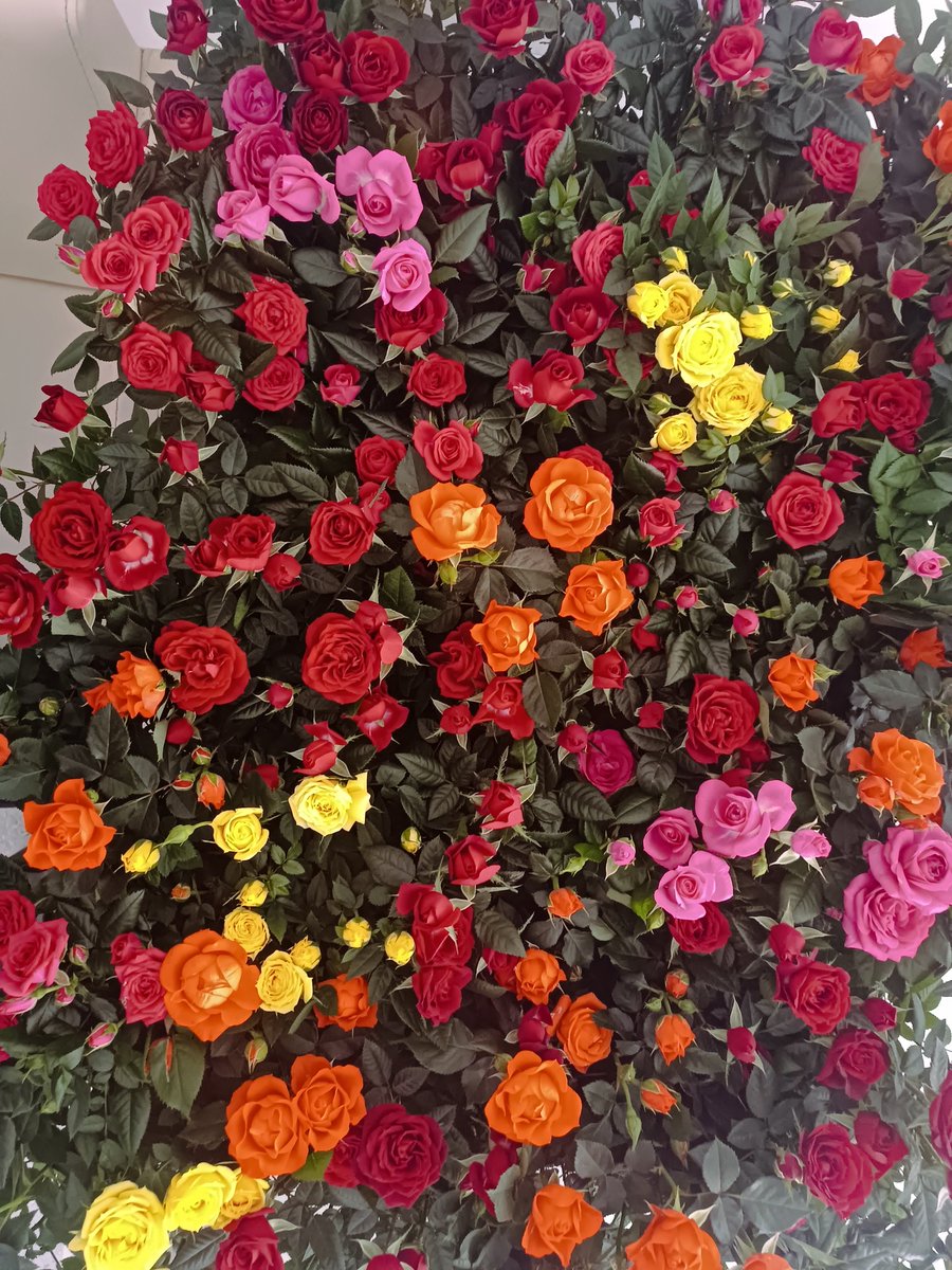 💕 Devlete ve Millete hizmet yolunda ki tüm öğretmenlerimizin günü kutlu olsun.