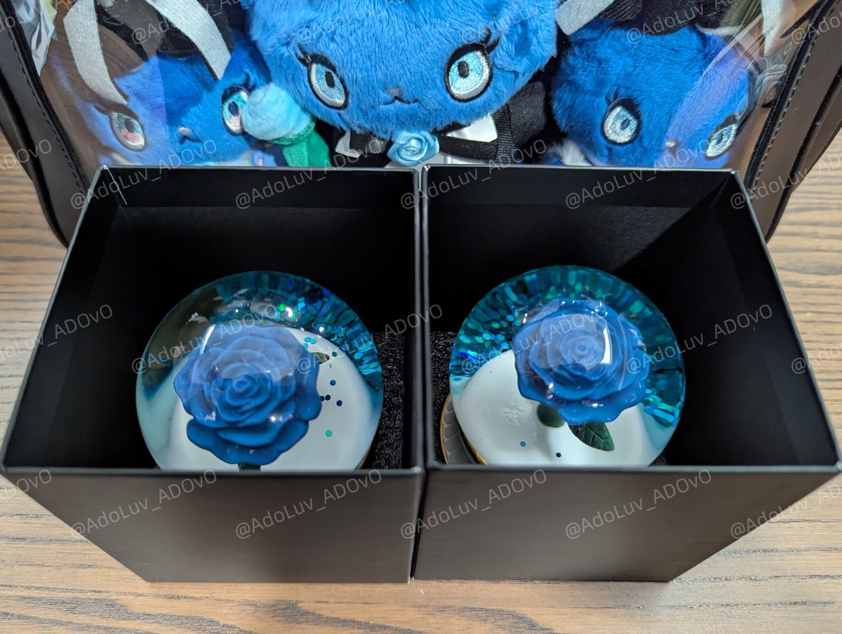 VIP特典のスノードーム❄️ #Adoよだか