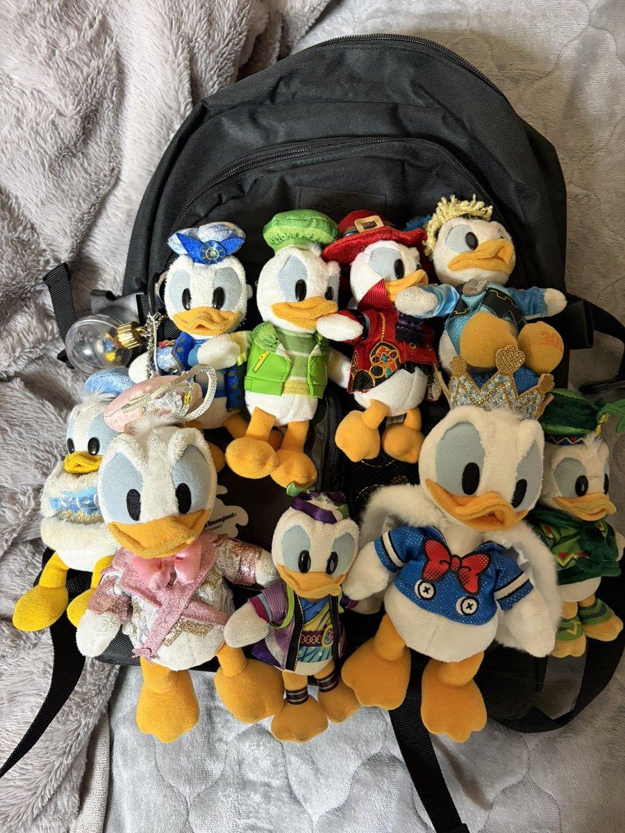 nmd3504's tweet image. ビリーヴトートからリュックへお引越し🙌🙌(望遠とか持ってくようになってから重すぎてキツくなってきたため、、)