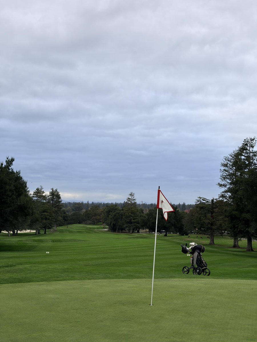 mithun52222752's tweet image. Quiet mornings on the green—where focus meets peace. Grateful for moments like these out on the course. ⛳️✨ 
#GolfLife #PGA #GolfCourse #GolfLove #FairwayFinds
