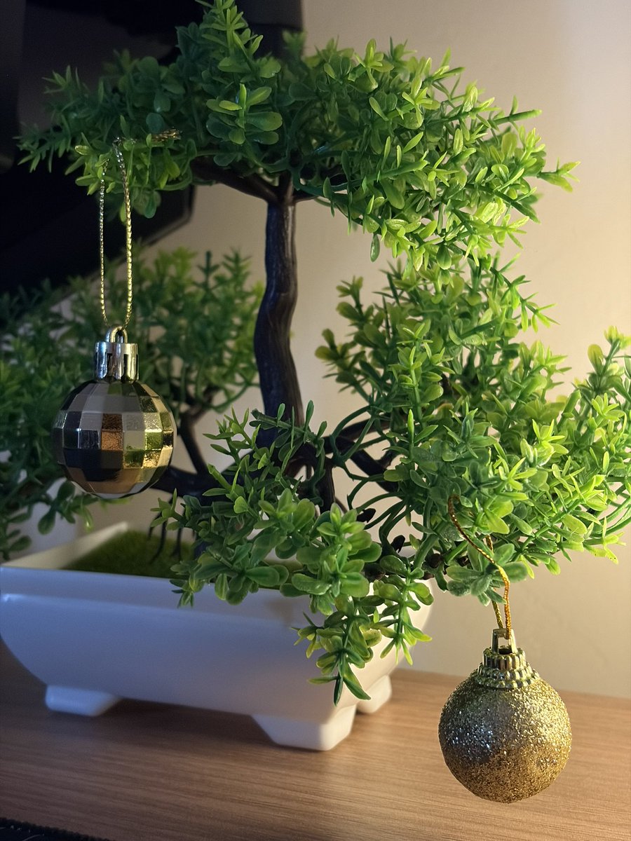 ta liberado começar com os enfeites pro natal ou nada ve?