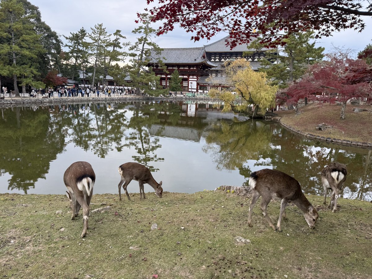 BitInvolution's tweet image. 最近大家都在晒位置，我也晒一下。目前我们MSX办下来签证的位置都在日本。