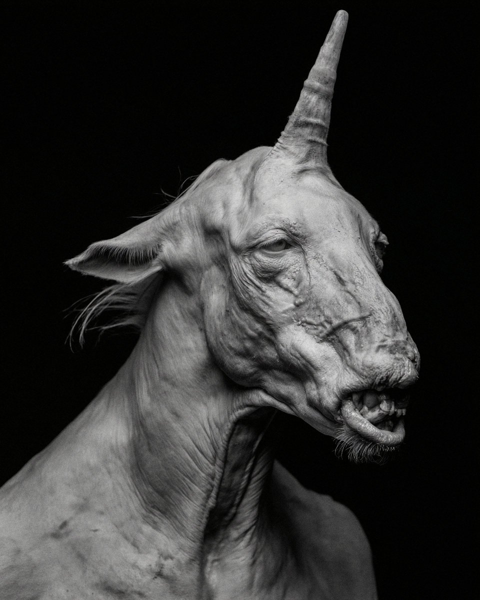 dcbruck's tweet image. Ugly is the new pretty