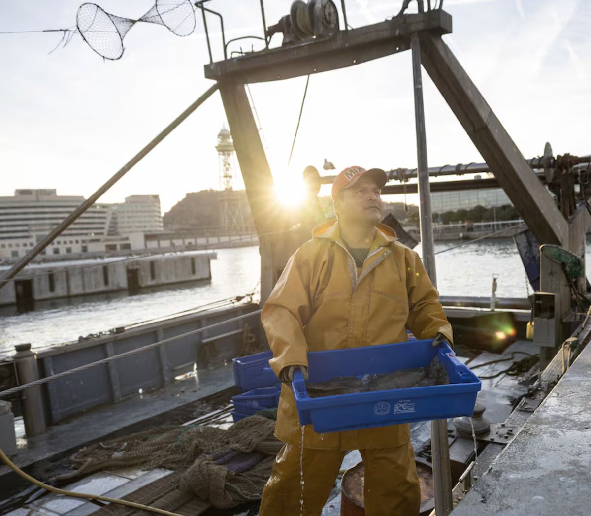 Agricultura amplia 13 dies les jornades de pesca a la flota del Mediterrani per garantir el proveïment per Nadal buff.ly/YepPlQw