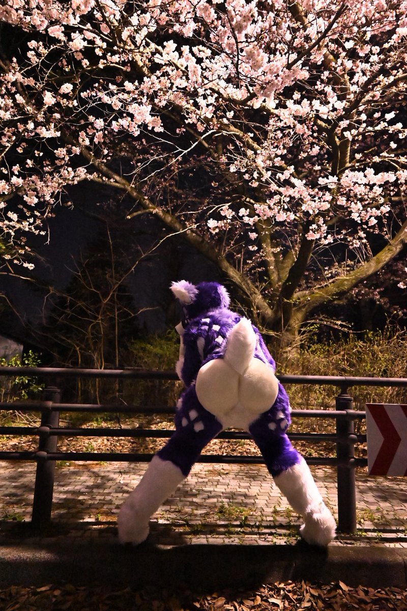 大いなるケツには大いなる責任がともなう