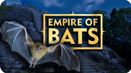 York University News tweet media