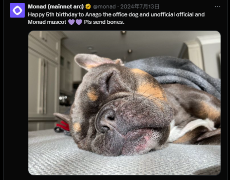 上了點這個 $Anago
0x5dF178C7E58046BC9074782fef0009C6Be167777

nad.fun/tokens/0x5dF17…

NAD.FUN 平台好像就是官方認證的平台
剛剛開盤沒多久市值很低 交易量不錯