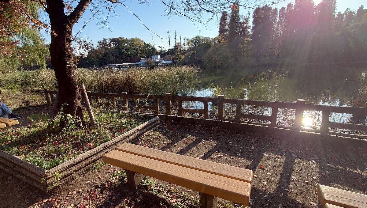 lihuatongying's tweet image. #殻ノ少女
井の頭公園、念願の聖地巡るを完遂した