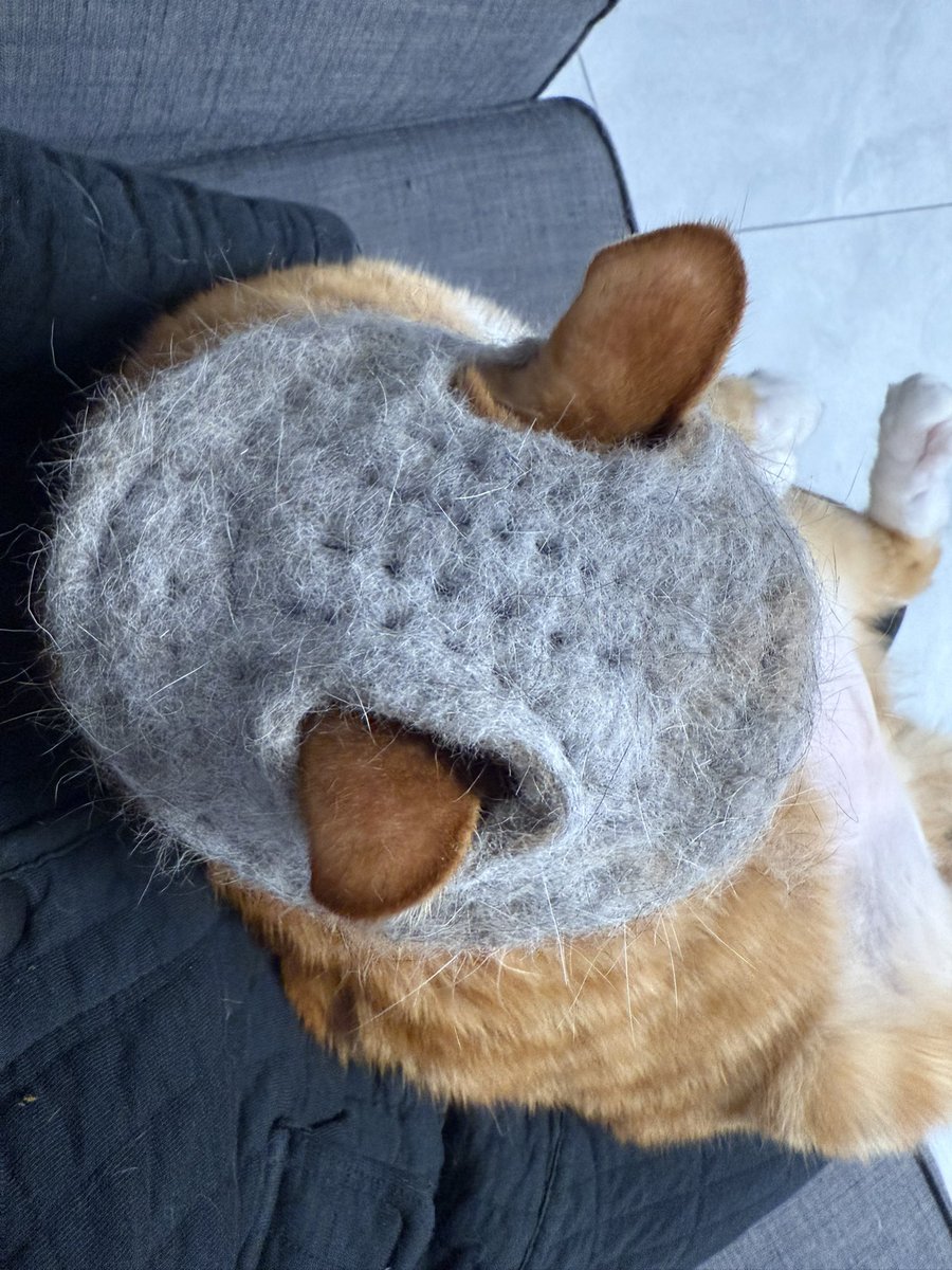 BadDogEgg's tweet image. 完成体了，最后一条，不抱着根本戴不了，我妈纯打发时间