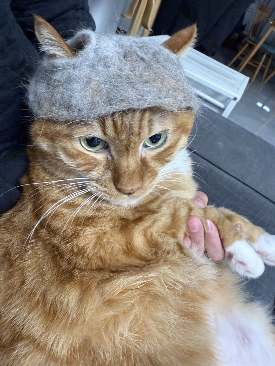 BadDogEgg's tweet image. 完成体了，最后一条，不抱着根本戴不了，我妈纯打发时间