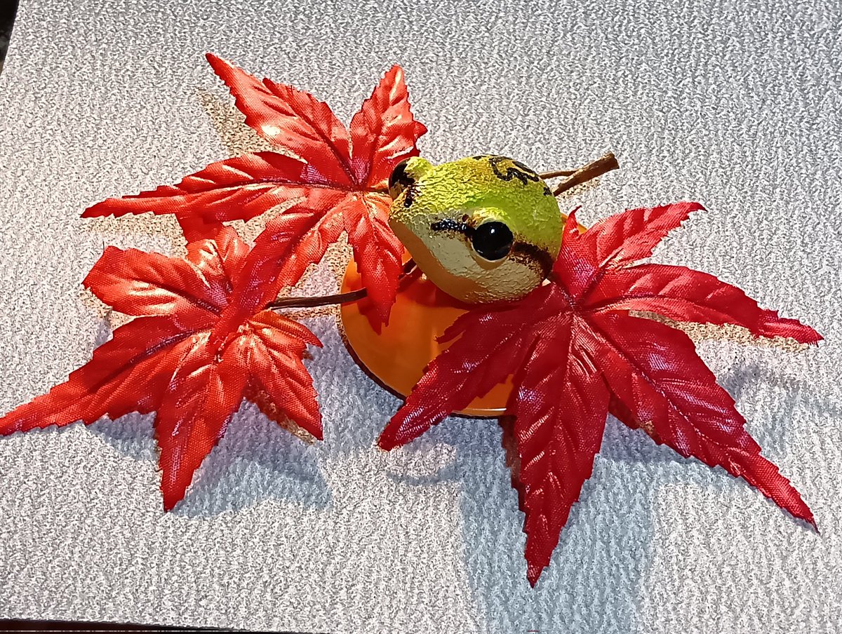 モッケ旅団 #蛙びとの集い