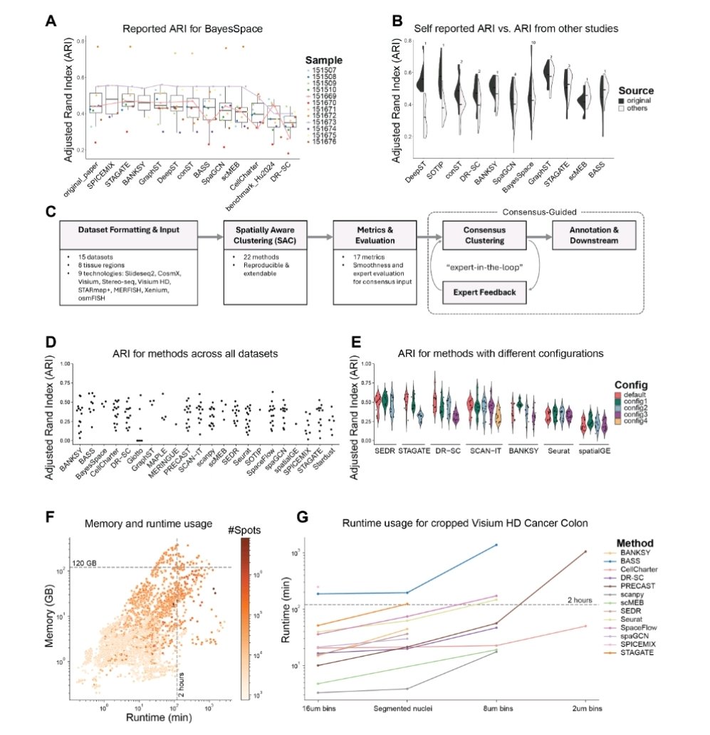 ascanet's tweet image. Sun et al. presented SACCELERATOR, a community-driven, extensible framework that standardizes data formatting, method integration, and metric evaluation, and is designed to rapidly incorporate new methods and datasets: 
➡️biorxiv.org/content/10.110…

#SingleCell #SpatialBiology