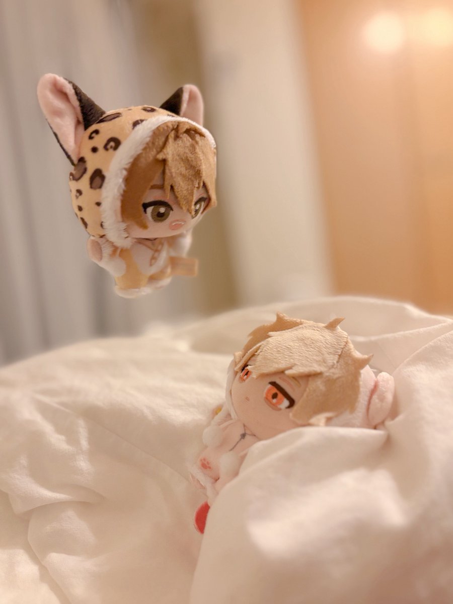 Post by しろいぬ on X: ❔