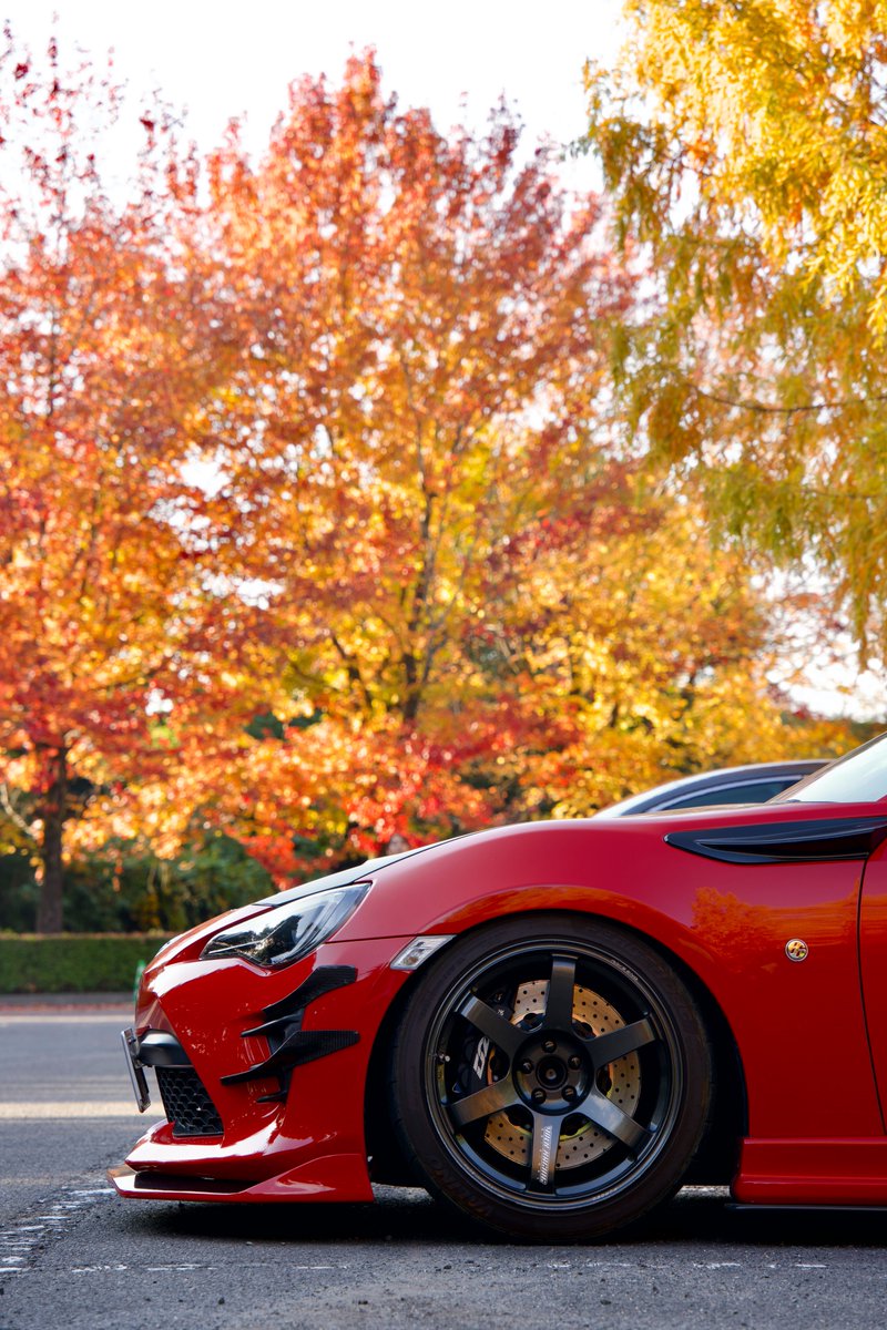 よっしー (@86M7Y) / Posts / X