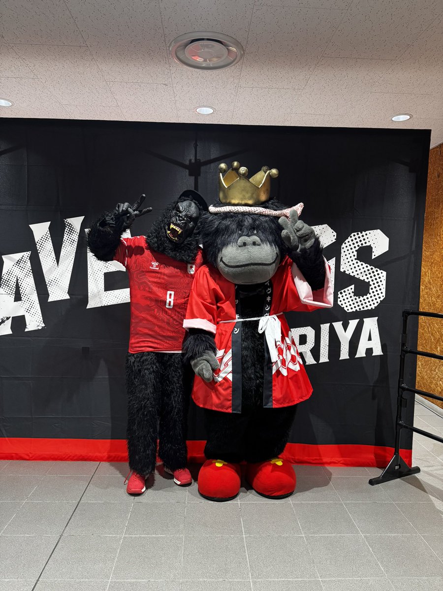 ハンドボール観戦楽しかった🦍❤️
#ブレイヴキングス刈谷