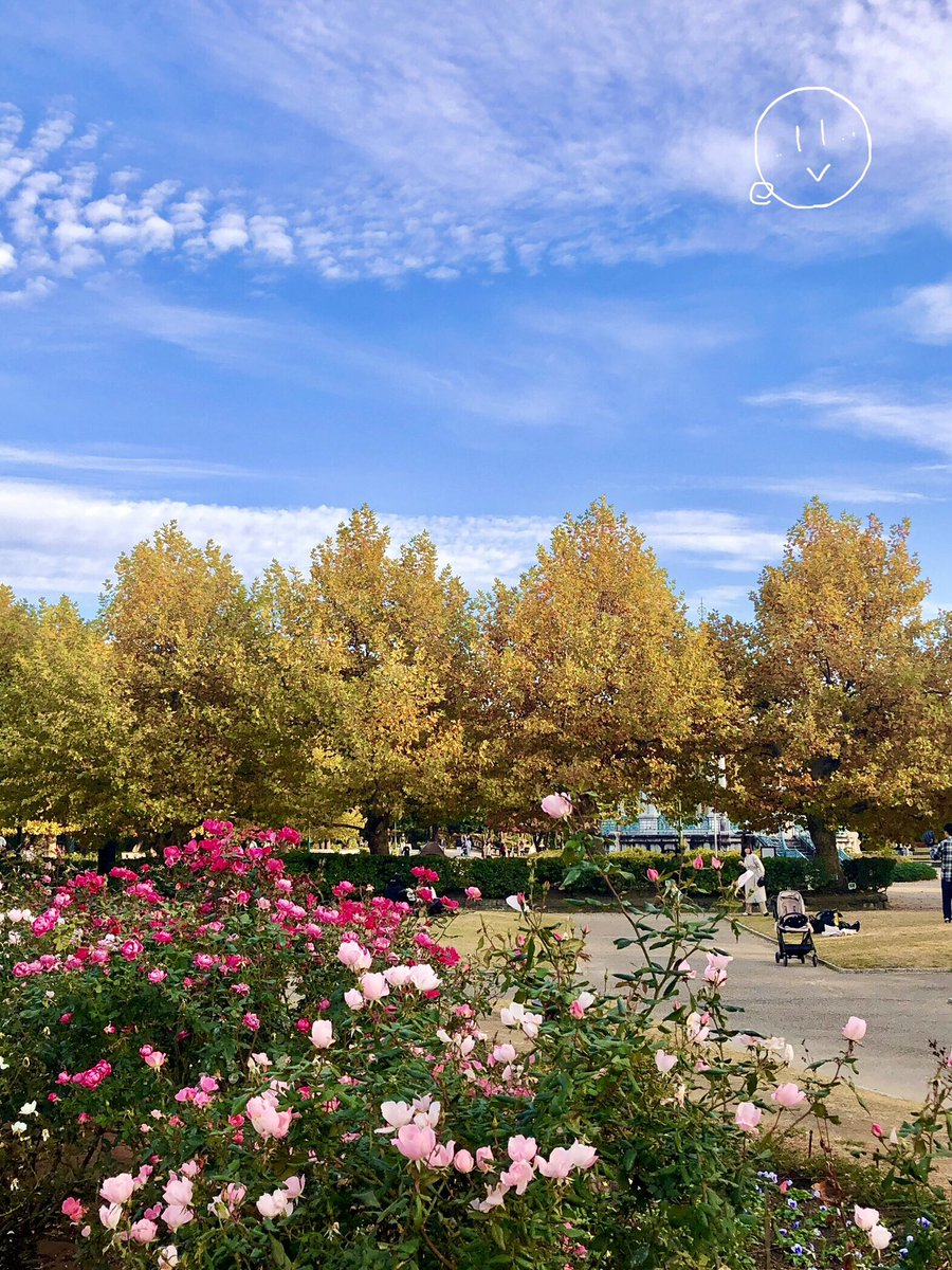 eO48544649's tweet image. こんばんは🌙✨
今日は #鶴舞公園 に行きました🌹
薔薇は終わりかけていましたが
紅葉は見頃を迎えてました🍁
Good evening.🌃
I went to the TsurumaPark, today. 
Rose season has almost finished, but leaves of many trees have changed their color beautifully. 
#名古屋 #Japan #今日の空