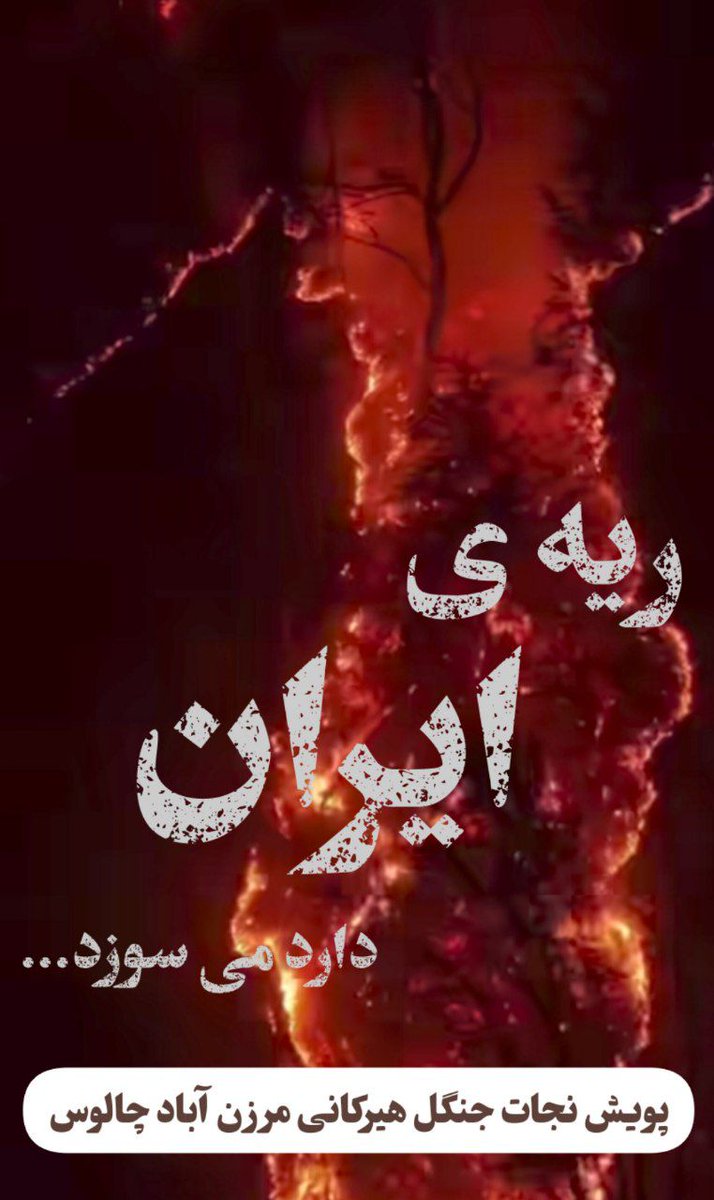 ریه ایران دارد می‌سوزد...
#هیرکانی 
#مسیر_خدمت
