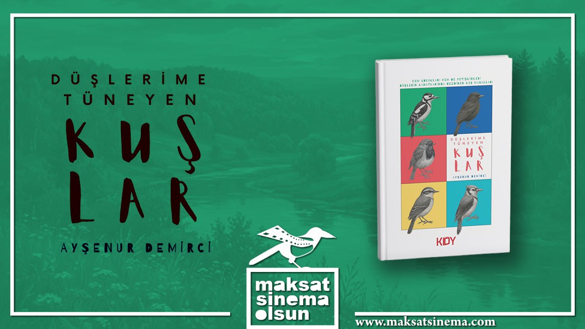 📚 KİTAP TANITIMI🖋️ Düşlerime Tüneyen Kuşlar – Ayşenur Demirci 🐤🐧🐦 maksatsinema.com/2025/11/24/dus… | #maksatsinema