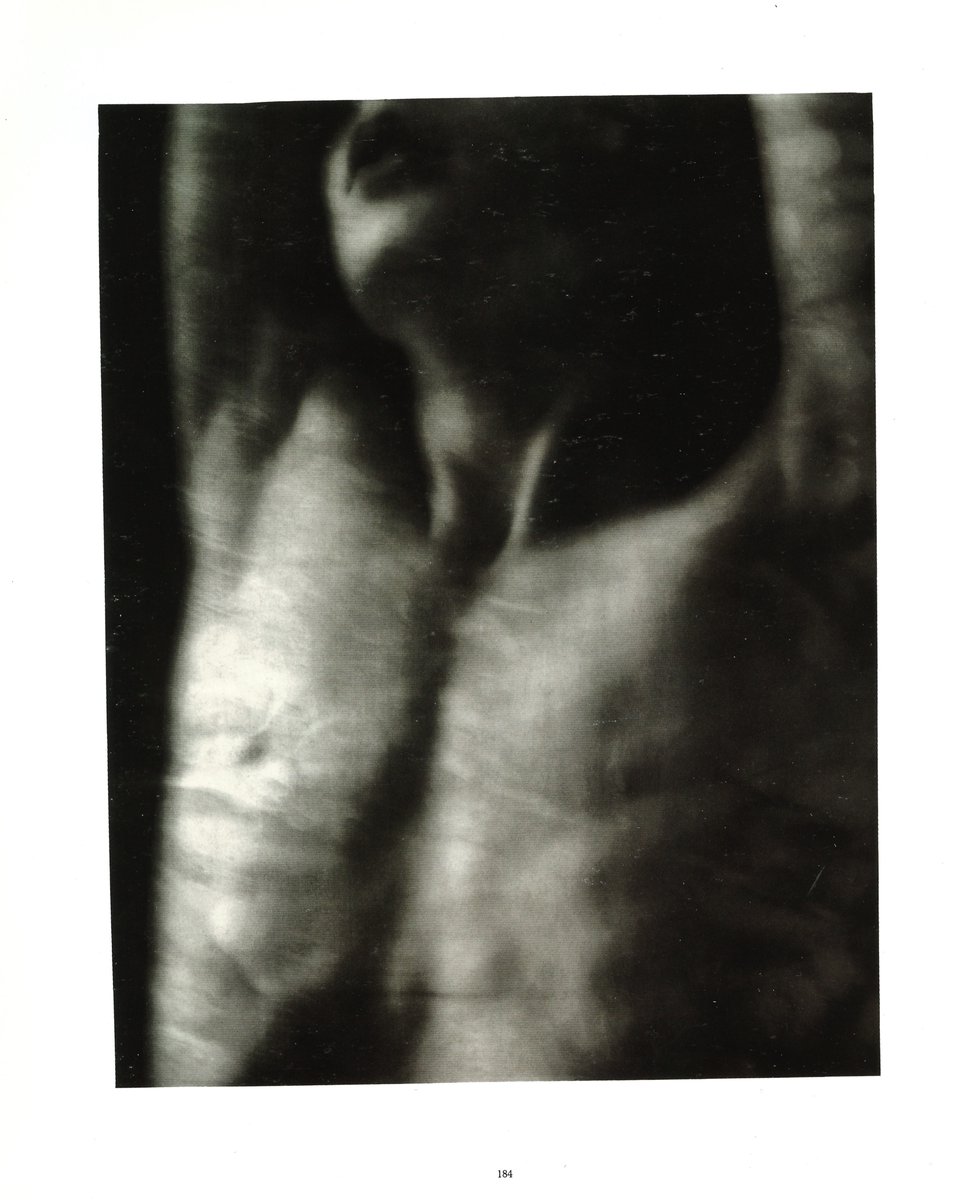 beinnothingness's tweet photo. Scans from the Bill Henson book Mnemosyne 1979/1980 https://t.co/cpsRyzz1hd