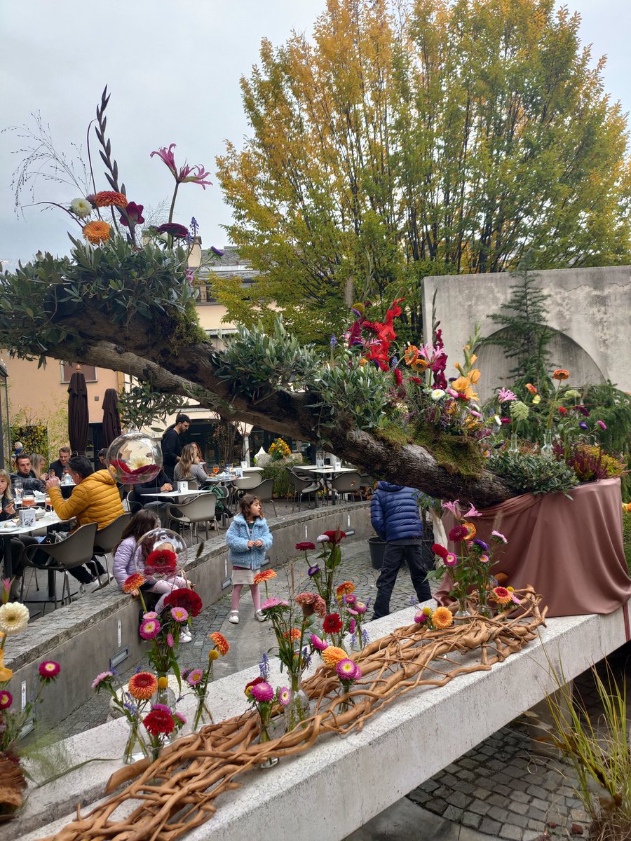 tacchini31's tweet photo. #fiori #morbegno #fieradelbitto https://t.co/BmKt3VQxK8