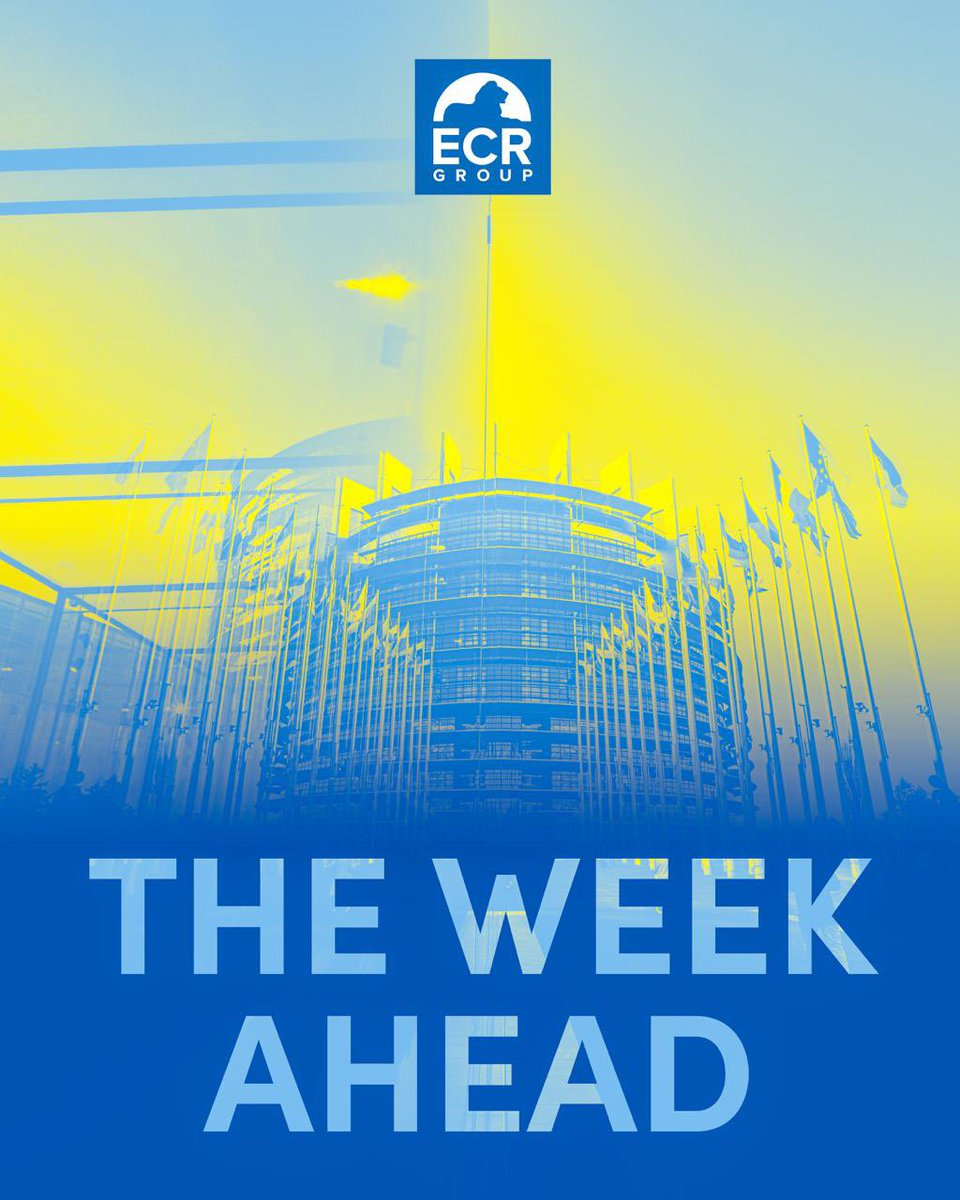 ecrgroup's tweet image. In this week&apos;s #EPlenary:

📈 safeguarding supply chains against geopolitical pressure
🌳 making the deforestation regulation workable for businesses
🛡️ strengthening Europe&apos;s defence readiness 
👨‍⚖️ renewing subsidiarity and the role of national parliaments
🚸 protecting children…