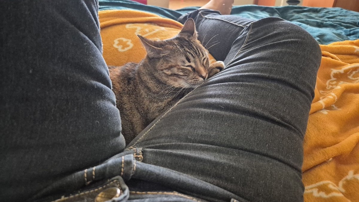 Bon dia🌞☕️🥰🌞☕️😻
Fins que no em recuperi no me la treuré del damunt🤣🤣😻😻
#Cloe