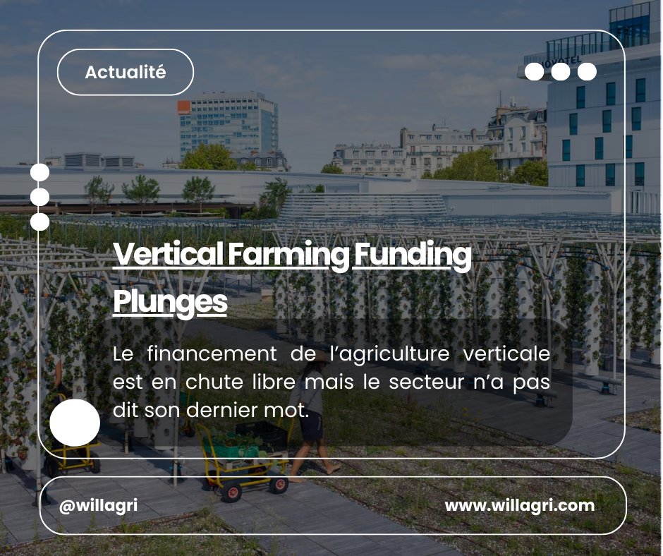 will_agri's tweet image. 𝐀𝐠𝐫𝐢𝐜𝐮𝐥𝐭𝐮𝐫𝐞 𝐯𝐞𝐫𝐭𝐢𝐜𝐚𝐥𝐞 : 𝐥𝐞𝐬 𝐟𝐢𝐧𝐚𝐧𝐜𝐞𝐦𝐞𝐧𝐭𝐬 𝐜𝐡𝐮𝐭𝐞𝐧𝐭 𝐦𝐚𝐢𝐬 𝐥𝐞 𝐬𝐞𝐜𝐭𝐞𝐮𝐫 𝐭𝐢𝐞𝐧𝐭 𝐛𝐨𝐧
Consultez notre site web pour plus : willagri.com
#VerticalFarming #AgTech #Investissement #FoodTech #Sustainability #willagri