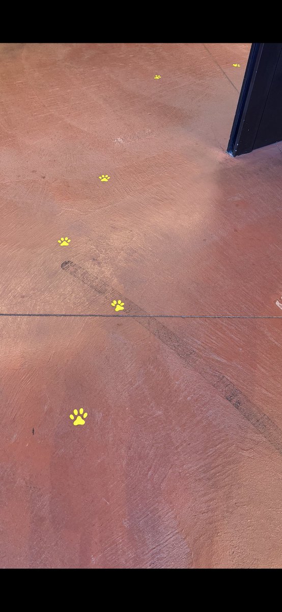 standcools's tweet image. 久々の周遊謎楽しかったー
猫のアート楽しみながら足跡追っかけて2時間弱でクリア
普段芸術には触れていないけどなんか色々凄かったから芸術劇場はもう一回ゆっくり行こうかな…

#怪盗ニャンポ 
kaiyu-art.net/exhibitions/65…