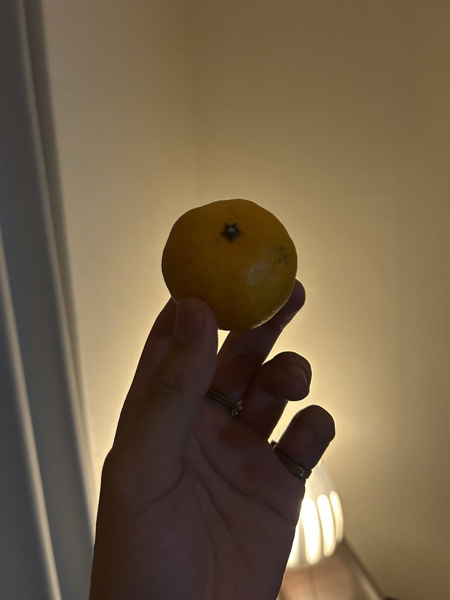 おれ、モンスターがみかんに見えるようになっちまった、、

youtube.com/live/um-xtJIQ1…
#原神　#配信　#みかんおいしいね