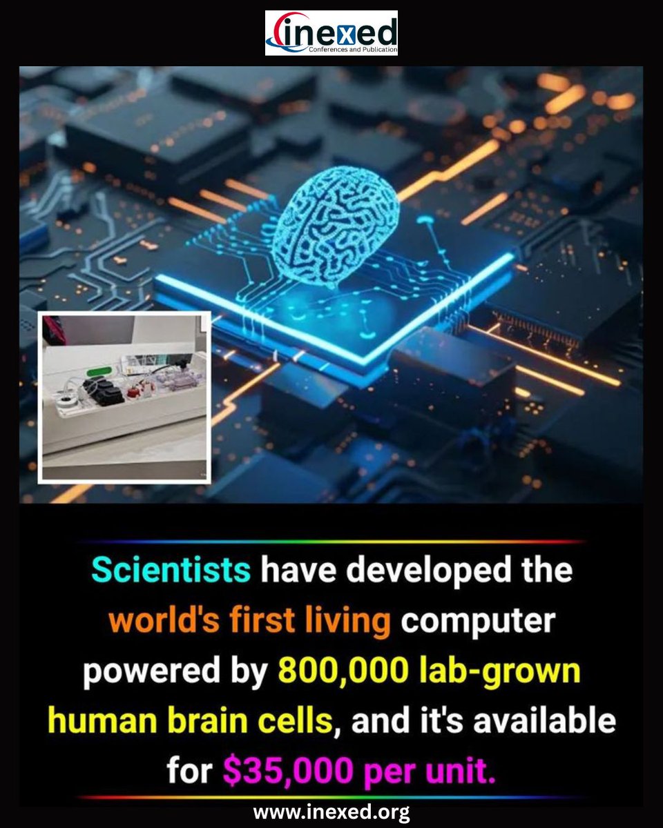 inexedconf's tweet image. 💻 BREAKTHROUGH: Scientists develop the world’s first living computer powered by 800,000 lab-grown human brain cells.
Now available for $35,000 per unit.
The future of computing just became alive. 🚀
#InexedConferences #BioComputing #Innovation #TechNews #BrainCells #FutureTech